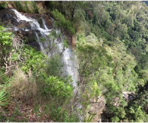 National-park-waterfall-300×250.png