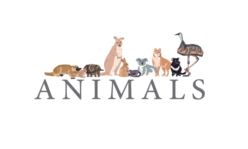 AnimalsClubTerm4-01
